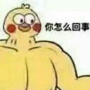 通用雨夜摇铃单元 - 作者头像