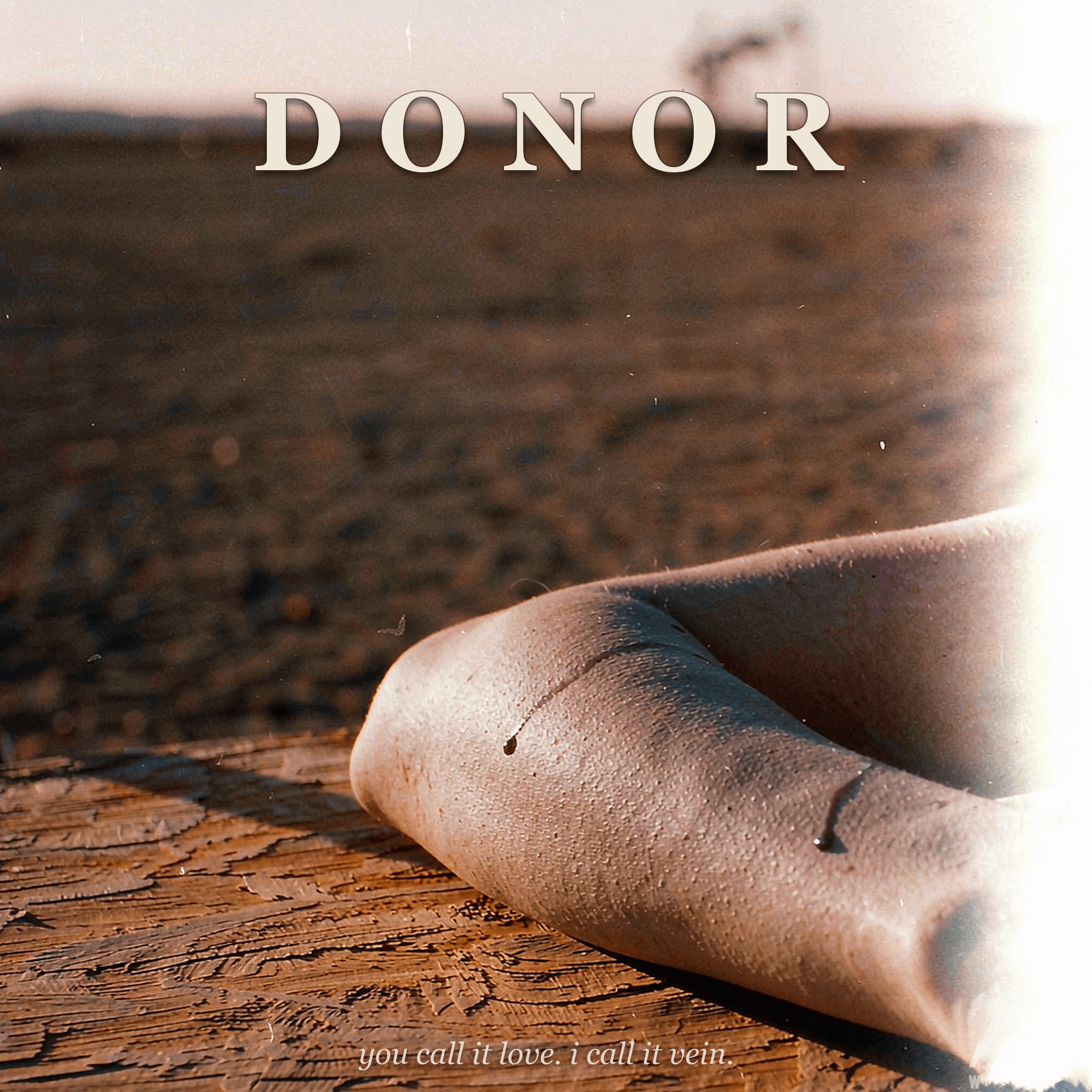 Donor - AI音乐作品封面